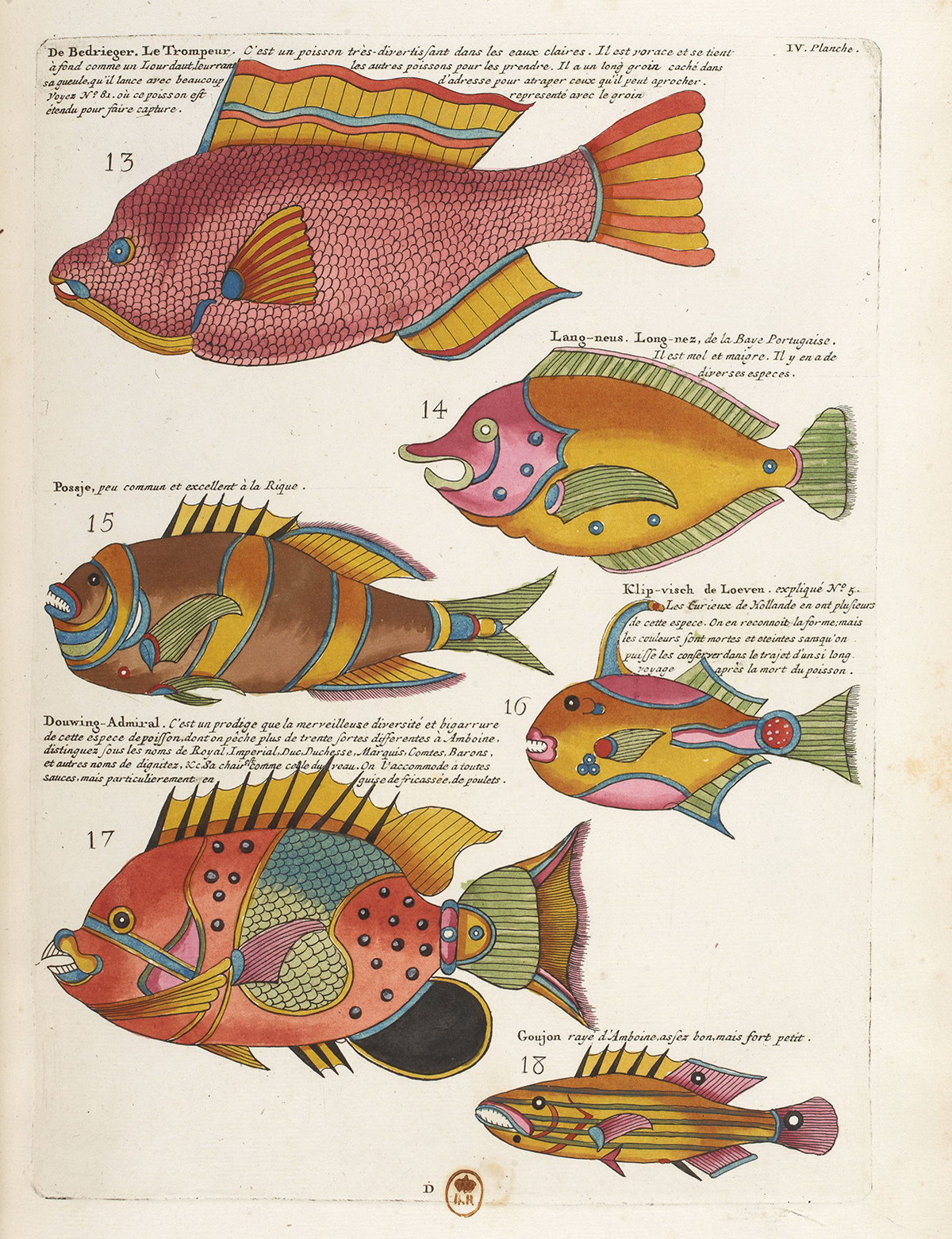 摩鹿加群岛周围和南部海岸海洋生物图谱 | 法国1719年刊本